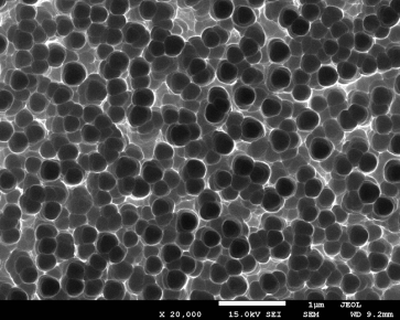 H:\酸法去損傷腐蝕實驗\9月下旬電池試驗腐蝕SEM\F-1.bmp